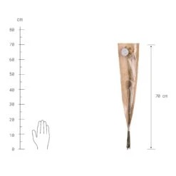 Trockenblumen Craspedia Länge 70cm FLOWER MARKET In Gelb -Butlers butlers trockenblumen craspedia lange 70cm flower market in gelb 2