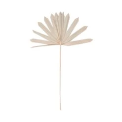 Trockenblumen Palmblatt Länge 60cm FLOWER MARKET In Natur 6 Trockenblumen Palmblatt Länge 60cm FLOWER MARKET In Natur -Butlers butlers trockenblumen palmblatt lange 60cm flower market in natur 2