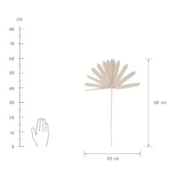 Trockenblumen Palmblatt Länge 60cm FLOWER MARKET In Natur 7 Trockenblumen Palmblatt Länge 60cm FLOWER MARKET In Natur -Butlers butlers trockenblumen palmblatt lange 60cm flower market in natur 3